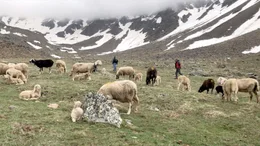Vor dem Aufstieg auf den Similaun.