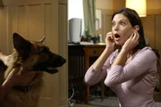 Susan Mayer (Teri Hatcher) Susan Mayer (Teri Hatcher)