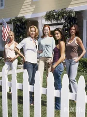 (1. Staffel) - Spielen perfekte Hausfrauen, doch hinter der Fassade ereignen sich Dramen: Edie Britt (Nicollette Sheridan, l.), Lynette Scavo (Felicity Huffman, 2.v.l.), Bree Van De Kamp (Marcia Cross, M.), Gabrielle Solis (Eva Longoria, 2.v.r.) und Susan Mayer (Teri Hatcher, r.) ... (1. Staffel) - Spielen perfekte Hausfrauen, doch hinter der Fassade ereignen sich Dramen: Edie Britt (Nicollette Sheridan, l.), Lynette Scavo (Felicity Huffman, 2.v.l.), Bree Van De Kamp (Marcia Cross, M.), Gabrielle Solis (Eva Longoria, 2.v.r.) und Susan Mayer (Teri Hatcher, r.) ...