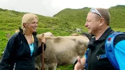 Lizzy von der Jogilealm mit Harry Prünster – Ridnauntal/Südtirol. Lizzy von der Jogilealm mit Harry Prünster – Ridnauntal/Südtirol.