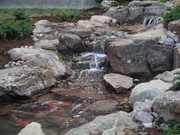 Ed is happy with the finished product and the fact that he got to build the pond with the help of his son, Austin, "You know, working with Austin on this project is a blast. He's helped me out on various projects over the years, so it's always been in his blood." Ed is happy with the finished product and the fact that he got to build the pond with the help of his son, Austin, "You know, working with Austin on this project is a blast. He's helped me out on various projects over the years, so it's always been in his blood."