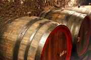 old wine cellar with barrels old wine cellar with barrels