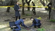 Im einem Wald in West-Virginia wurden die Überreste eines Menschen gefunden. Als (v.li.) Booth (David Boreanaz), Hodgins (T.J. Thyne) und Brennan (Emily Deschanel) den Tatort näher untersuchen, ergeben sich einige Ungereimtheiten in dem Fall... Im einem Wald in West-Virginia wurden die Überreste eines Menschen gefunden. Als (v.li.) Booth (David Boreanaz), Hodgins (T.J. Thyne) und Brennan (Emily Deschanel) den Tatort näher untersuchen, ergeben sich einige Ungereimtheiten in dem Fall...