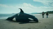 In Vancouver liegt ein toter Orca am Strand. Wahlforscher Leon Anawak (Joshua Odjick, r.) und O'Bannon (Dutch Johnson, l.) rätseln über die Todesursache. In Vancouver liegt ein toter Orca am Strand. Wahlforscher Leon Anawak (Joshua Odjick, r.) und O'Bannon (Dutch Johnson, l.) rätseln über die Todesursache.