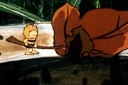 Maja versucht einem Frosch, der in den Brunnen gefallen ist, mit einem Blatt zu Hilfe zu kommen.