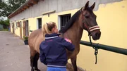 Annika kĂĽmmert sich um ihr Pferd Oh-Fiona. Annika kĂĽmmert sich um ihr Pferd Oh-Fiona.Â
