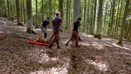 Forscher im Nationalpark Bayerischer Wald schleppen einen Hirschkadaver an einen Auslageplatz.