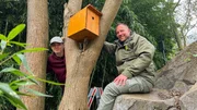 Luca (l.) und Ruben Holland (r.) hängen Nistkasten auf im Zoo Leipzig. Luca (l.) und Ruben Holland (r.) hängen Nistkasten auf im Zoo Leipzig.