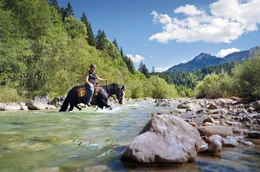 Das Wanderreiten in den Ammergauer Alpen bietet neben dem Landschaftsgenuss auch Herausforderungen wie steile Pfade und die Querung von Bergb&auml;chen auf dem Pferd.