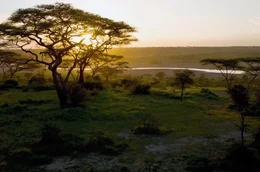 Serengeti-Nationalpark w&auml;hrend des Sonnenuntergangs im Norden von Tansania
