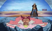 De Flamingo (l.); Trafalgar D. Law (r.)