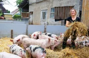 Landwirtin Cindy Vollmer-Halsband befindet sich in einer Zeit des Aufbruchs. Die 27-Jährige möchte ihren eigenen Betrieb aufbauen, auf dem sie ihre Vision einer besonders tiergerechten Landwirtschaft verwirklichen. Cindy ist mit Landwirtschaft aufgewachsen. Beruflich ging sie zunächst Richtung Lehramt. Aber die Sehnsucht nach dem Leben auf dem Hof war schließlich stärker. Heute studiert sie Agrarwirtschaft. Ihre Leidenschaft: Sauen- und Ferkelaufzucht. Landwirtin Cindy Vollmer-Halsband befindet sich in einer Zeit des Aufbruchs. Die 27-Jährige möchte ihren eigenen Betrieb aufbauen, auf dem sie ihre Vision einer besonders tiergerechten Landwirtschaft verwirklichen. Cindy ist mit Landwirtschaft aufgewachsen. Beruflich ging sie zunächst Richtung Lehramt. Aber die Sehnsucht nach dem Leben auf dem Hof war schließlich stärker. Heute studiert sie Agrarwirtschaft. Ihre Leidenschaft: Sauen- und Ferkelaufzucht.