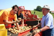 Willi bei der Kartoffelernte mit Andrea und Paul Strixner senior.