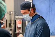 Nick Gehlfuss als Will Halstead