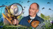 Sie summen, krabbeln, zirpen, saugen! Obwohl sie so klein und unscheinbar sind, lösen Insekten bei vielen Menschen Unbehagen aus. Dabei sind sie für unser Leben extrem wichtig: Insekten bestäuben Pflanzen, zersetzen organisches Material und bilden die Grundlage vieler Nahrungsketten. Ihr Nutzen für uns ist enorm - ohne sie sähe es düster aus für Äpfel, Schokolade und viele andere Lebensmittel. Doch das Gleichgewicht gerät aus den Fugen: Invasive Arten wie Tapinoma-Ameisen breiten sich rasant in Deutschland aus und bedrohen Infrastruktur und Ökosysteme. - Thomas Ranft moderiert die Sendung. Sie summen, krabbeln, zirpen, saugen! Obwohl sie so klein und unscheinbar sind, lösen Insekten bei vielen Menschen Unbehagen aus. Dabei sind sie für unser Leben extrem wichtig: Insekten bestäuben Pflanzen, zersetzen organisches Material und bilden die Grundlage vieler Nahrungsketten. Ihr Nutzen für uns ist enorm - ohne sie sähe es düster aus für Äpfel, Schokolade und viele andere Lebensmittel. Doch das Gleichgewicht gerät aus den Fugen: Invasive Arten wie Tapinoma-Ameisen breiten sich rasant in Deutschland aus und bedrohen Infrastruktur und Ökosysteme. - Thomas Ranft moderiert die Sendung.