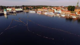 Der denkmalgesch&uuml;tzte Heringszaun in Kappeln ist seit 1451 urkundlich erw&auml;hnt und der letzte dieser Art in der Schlei. &copy; HR, honorarfrei - Verwendung gem&auml;&szlig; der AGB im engen inhaltlichen, redaktionellen Zusammenhang mit genannter HR-Sendung bei Nennung "Bild: HR" (S2). HR/Pressestelle, Tel: 069/155-4954, Fax: -3005