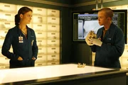 Da der forensische Anthropologe Zack (Eric Millegan) freiwillig seinen Militärdienst im Irak absolvieren will, benötigt Brennan (Emily Deschanel) neue Unterstützung. Da der forensische Anthropologe Zack (Eric Millegan) freiwillig seinen Militärdienst im Irak absolvieren will, benötigt Brennan (Emily Deschanel) neue Unterstützung.