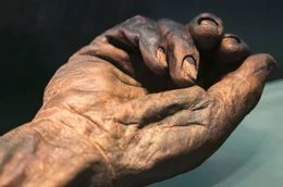 Diese Moorleiche war ein keltischer K&ouml;nig und wurde vor etwa 2.000 Jahren den G&ouml;ttern geopfert.