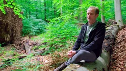Matthias Schickhofer f&uuml;rchtet um die letzten Urw&auml;lder.