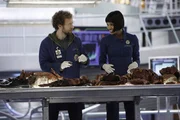 Hodgins (T. J. Thyne) und Cam (Tamara Taylor) Hodgins (T. J. Thyne) und Cam (Tamara Taylor)