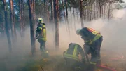 Heißer Sommer - für Brandenburgs Wälder höchste Gefahr. Nirgends in Deutschland brennt es so häufig wie in den Kiefernforsten zwischen Prignitz und Elbe-Elster-Land. Über 500 Waldbrände zählten die Behörden hier allein 2022. An besonderen Hotspots, wie in der Region Schenkenländchen, rücken die Freiwilligen Feuerwehren mehrmals pro Woche zum Löschangriff in die umliegenden Wälder aus. - Löschangriff im Kiefernwald. Heißer Sommer - für Brandenburgs Wälder höchste Gefahr. Nirgends in Deutschland brennt es so häufig wie in den Kiefernforsten zwischen Prignitz und Elbe-Elster-Land. Über 500 Waldbrände zählten die Behörden hier allein 2022. An besonderen Hotspots, wie in der Region Schenkenländchen, rücken die Freiwilligen Feuerwehren mehrmals pro Woche zum Löschangriff in die umliegenden Wälder aus. - Löschangriff im Kiefernwald.