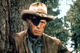 Konf&ouml;derierten-Oberst Tom Rossiter (Richard Widmark) schreckt vor nichts zur&uuml;ck, um die Viehherde Alvarez Kellys an sich zu bringen und damit die S&uuml;dstaaten-Armee zu unterst&uuml;tzen.