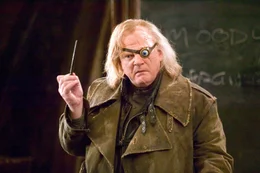 Alastor 'MadEye' Moody (Brendan Gleeson)