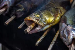 Steckerlfisch bei Franz Wiesmayr in Linz.