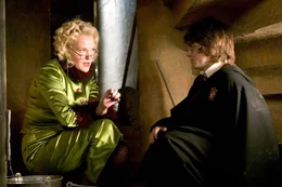 Rita Skeeter (Miranda Richardson), Harry Potter (Daniel Radcliffe)