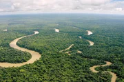 Ein Lichtblick weit über Peru hinaus: der Yaguas-Nationalpark in Amazonien Ein Lichtblick weit über Peru hinaus: der Yaguas-Nationalpark in Amazonien