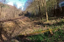 Radevormwald ist eine typische Kleinstadt. Man kennt sich und h&auml;lt zusammen. In Rade, wie man hier kurz sagt, scheint die Welt eigentlich noch in Ordnung. Doch seit dem Ereignis vor 50 Jahren ist fast alles anders: Radevormwald &ndash; der Name ist verbunden mit einer der schwersten Eisenbahnkatastrohen Deutschlands.  Der WDR zeigt den Film anl&auml;sslich des 50. Jahrestages des Ungl&uuml;cks. - Ein Holzkreuz erinnert an das Eisenbahnungl&uuml;ck.