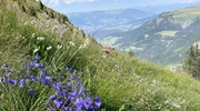 Landschaftspanorama Dolomiten.