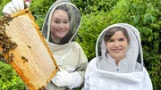 Anna ist zu Besuch bei Bienenforscherin Lioba der Uni W&uuml;rzburg. Auf einer Honigwabe lagern ihre Forschungsbienen Nektar ein. (Lioba Hilsmann)