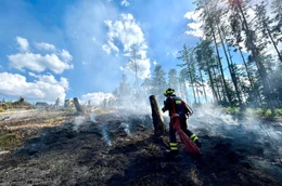 Wald- und Fl&auml;chenbr&auml;nde nehmen weltweit zu. Auch im S&uuml;dwesten Deutschlands sehen Experten eine steigende Waldbrandgefahr.