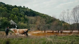 Valeria Pra?a mit ihrer Kuh Pa'una.