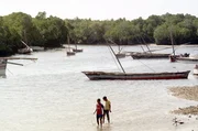 Auf der kenianischen Insel Pate kursiert das Gerücht, im 15. Jahrhundert hätten sich nach einem Schiffbruch Chinesen angesiedelt und die Stadt Shanga gegründet. Auf der kenianischen Insel Pate kursiert das Gerücht, im 15. Jahrhundert hätten sich nach einem Schiffbruch Chinesen angesiedelt und die Stadt Shanga gegründet.