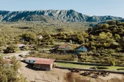 Inzwischen sind es 59 Stuten und ein Hengst, die auf Darkos Eselfarm im Dorf Martinici ein Zuhause haben – hoch in den Bergen, 17 Kilometer von Montenegros Hauptstadt Podgorica entfernt. Inzwischen sind es 59 Stuten und ein Hengst, die auf Darkos Eselfarm im Dorf Martinici ein Zuhause haben – hoch in den Bergen, 17 Kilometer von Montenegros Hauptstadt Podgorica entfernt.