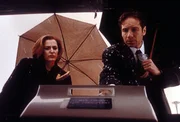 Scully und Mulder arbeiten fieberhaft an der Aufkl&auml;rung mehrerer Mordf&auml;lle.