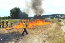 Die Hilfsorganisation @fire trainiert Feuerwehren in der Bek&auml;mpfung von Gro&szlig;waldbr&auml;nden mit wenig oder gar keinem Wasser.