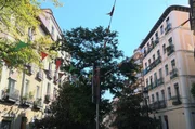 Seit einem Jahrhundert kämpfen die Madrilenen um würdigen Wohnraum. Der wird vor allem durch Gentrifizierung und mehr Ferienwohnungen immer knapper. Seit einem Jahrhundert kämpfen die Madrilenen um würdigen Wohnraum. Der wird vor allem durch Gentrifizierung und mehr Ferienwohnungen immer knapper.