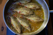 Wer gute Stellen kennt, kann in der Mosel schöne Rotaugen angeln – und sie anschließend braten. Wer gute Stellen kennt, kann in der Mosel schöne Rotaugen angeln – und sie anschließend braten.