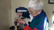 Ingrid widmet sich ihrer Quittenernte. Die 86-Jährige ist nicht nur bekannt als Backkönigin der Gartenanlage, auch ihre Liköre sind bei den Nachbarn sehr beliebt. Ingrid widmet sich ihrer Quittenernte. Die 86-Jährige ist nicht nur bekannt als Backkönigin der Gartenanlage, auch ihre Liköre sind bei den Nachbarn sehr beliebt.