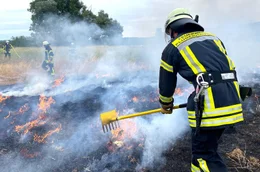 Viele Feuerwehren bem&auml;ngeln, dass ihre Ausr&uuml;stung f&uuml;r Geb&auml;udebr&auml;nde ausgelegt ist, nicht aber f&uuml;r Wald- und Fl&auml;chenbr&auml;nde.