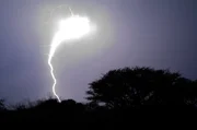 AWNKWR South Africa Mkhuzi Mkhuze Mkuze Game Reserve KwaZulu-Natal - flash of lightning during a thunderstorm into he bush's night