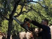 Chris Hanson using a chainsaw on some branches at the Klingensmith's build. Chris Hanson using a chainsaw on some branches at the Klingensmith's build.