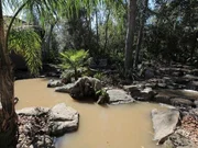 The completed pond at the Payne's house.
