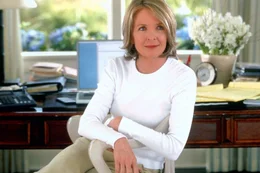 Ehe Erica (Diane Keaton) wei&szlig;, wie ihr geschieht, quartiert ihre Tochter ihren neuen Freund Harry in ihrem Strandhaus ein, wo er sich unter der Obhut ihrer Mutter nach seinem Herzanfall, einige Tage lang erholen soll ...
