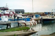 Im dänischen Fischerdorf Klintholm Havn führen rund 200 Menschen ein beschauliches Leben unweit des malerischen Kreidefelsens Møns Klint. Im dänischen Fischerdorf Klintholm Havn führen rund 200 Menschen ein beschauliches Leben unweit des malerischen Kreidefelsens Møns Klint.