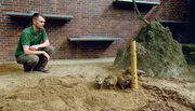 Ricardo Rzeppa darf sich f&uuml;r die Erdm&auml;nnchen eine neue Besch&auml;ftigungsidee ausdenken, denn die intelligente und geschickte Erdm&auml;nnchen-Kolonie braucht wieder einmal eine gr&ouml;&szlig;ere Herausforderung. Mangusten an der selbstgebauten F&uuml;tterr&ouml;hre