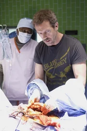 Ein neuer Fall beschäftigt Dr. Gregory House (Hugh Laurie, r.) und sein Team ... Ein neuer Fall beschäftigt Dr. Gregory House (Hugh Laurie, r.) und sein Team ...